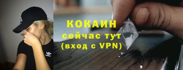 шишки Белокуриха